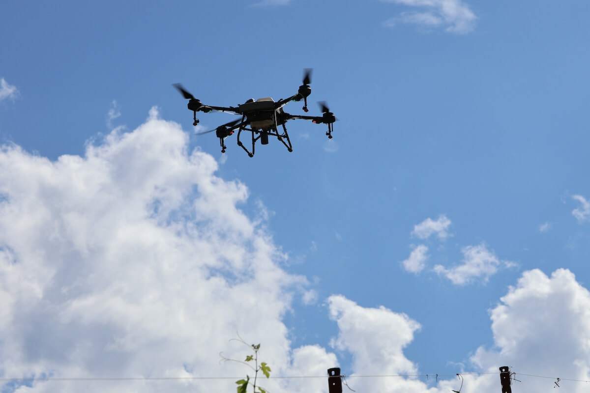 Drone in volo durante Enovitis in campo 2024